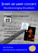 Poster concertje 22 jan 2013
