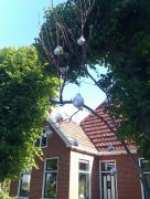 Boerderij kopjes