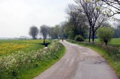 Imagesca71r37f