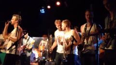 Ten-hut roodehaan