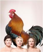 Vrouw Holland:&Uuml;berkip