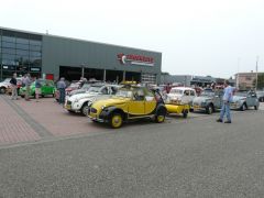 Eend-ft-brom-009-buzzybeeforum.nl