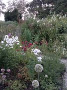 Juliborder 4