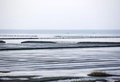 Hans sas-wad uithuizen-lr