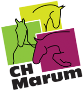 Chmarum-2