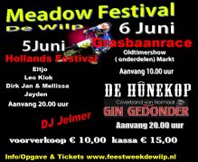 Poster meadow festival