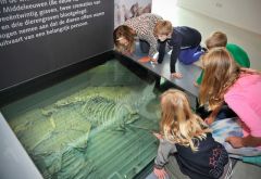 Paardengraf kinderen