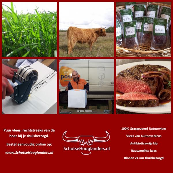 Schotsehoogladners.nl adv eind 2015 instagram