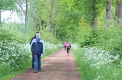 Leeksterwandeltocht