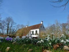 105 steenhuis sneeuwklokje