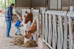 Agenda open-boerderijdagen