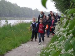 Avondvierdaagse