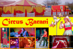 Circus barani