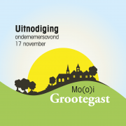 Mooi grootegast plaatje