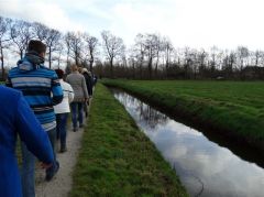 Wandelen