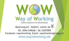 www.wayofworking.net