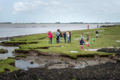 Het groninger landschap - dollard festival