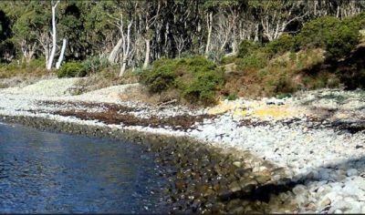 Abel-tasman-landingsplek  large