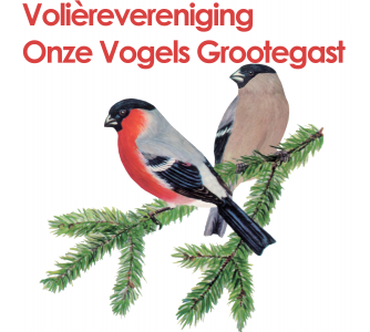 Vogellogo onze vogels