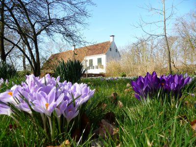 Stinsenwandeling 31-3-2019