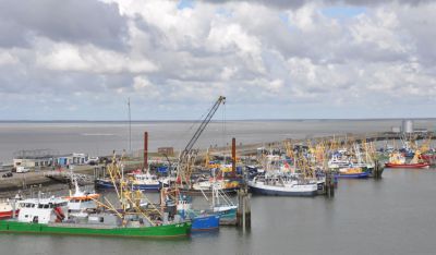 Lauwersoog-haven