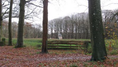 Natuurschoonbos nietap