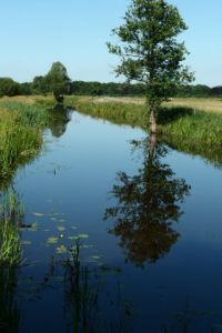 Molenwijkje midwolde alice botma