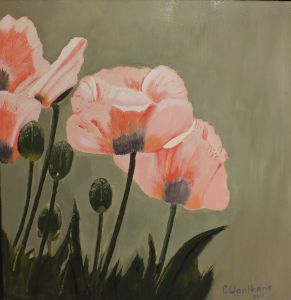 Papavers van leonie waalkens