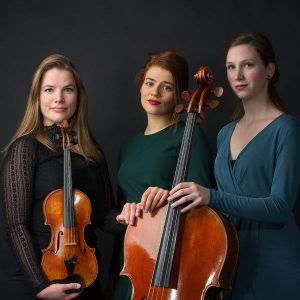 Volkman-trio-ccz