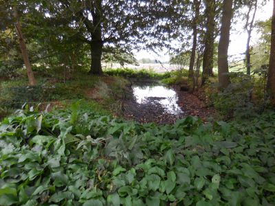 coendersborg natuur