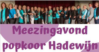 Popkoor hadewijn