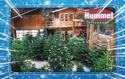 Hummel-kerst