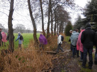 wandeling natuur