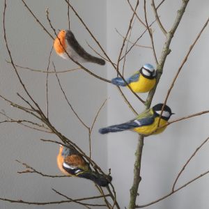 Naaldvilten vogels