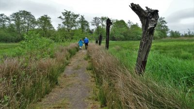 lutjegast wandelen