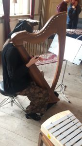 Duo nesje harp