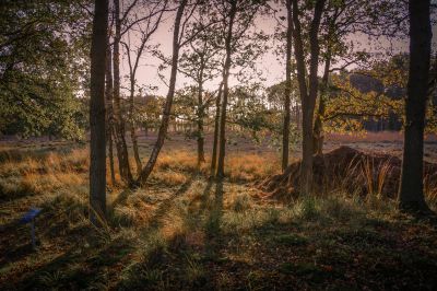 2021-09-19natuurspeurtocht heideterreintje (tw)