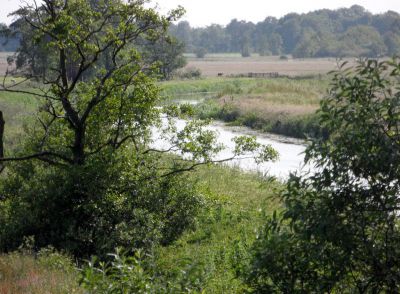 Oude-riet-bovenloop-voor-toukomst