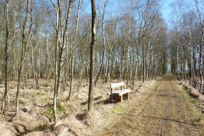 Stevige winterwandeling 10-2-2019