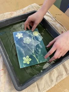 Spoelen van cyanotype