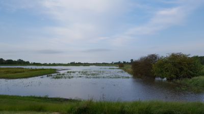 bergingsgebied De Dijken &ndash; Bakkerom