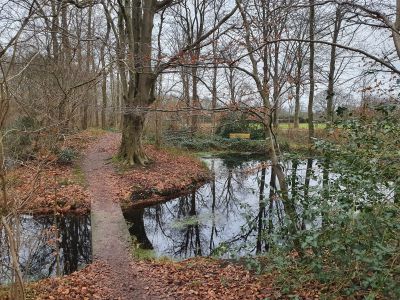 Zwarte ryth - natuurschoonbos