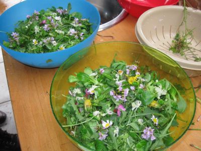 eten uit de natuur salade