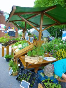 Groenteverkoop op markt