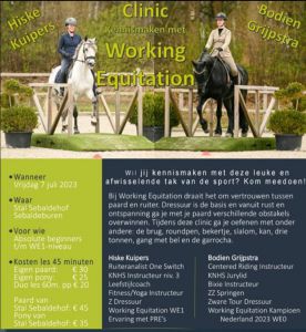 Working equitation