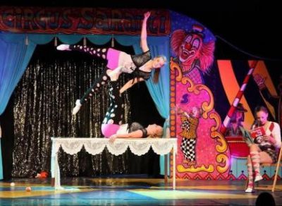 Circus saranti