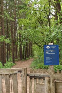 Nanninga&rsquo;s Bos natuur