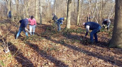 Natuurschoonbos