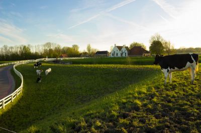 Aduarderzijl---bas-meelker---het-groninger-landschap