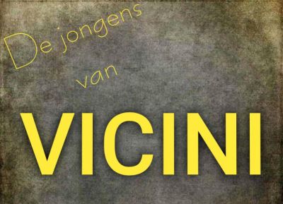 Vicini logo
